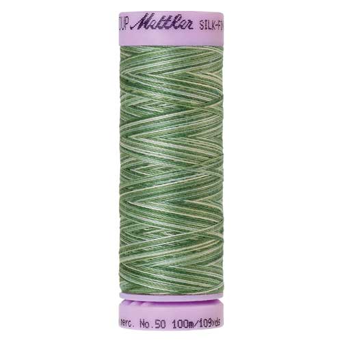 9819 - Spruce Pines  Silk Finish Cotton Multi 50 Thread
